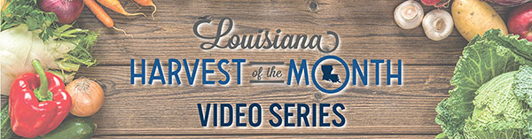 LSUAg Farm to School Video Banner