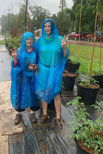 photo of volunteers in the garden