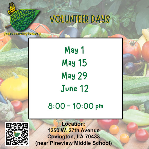 volunteer days schedule